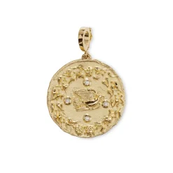 Large Mother Nature Coin