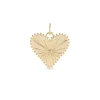 Large Pour Toujours Heart Charm