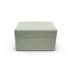 Mint Mini Trunk