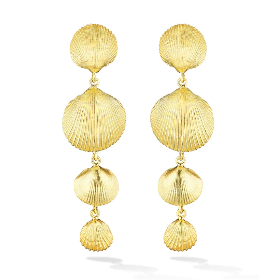 Shell Drop Earrings