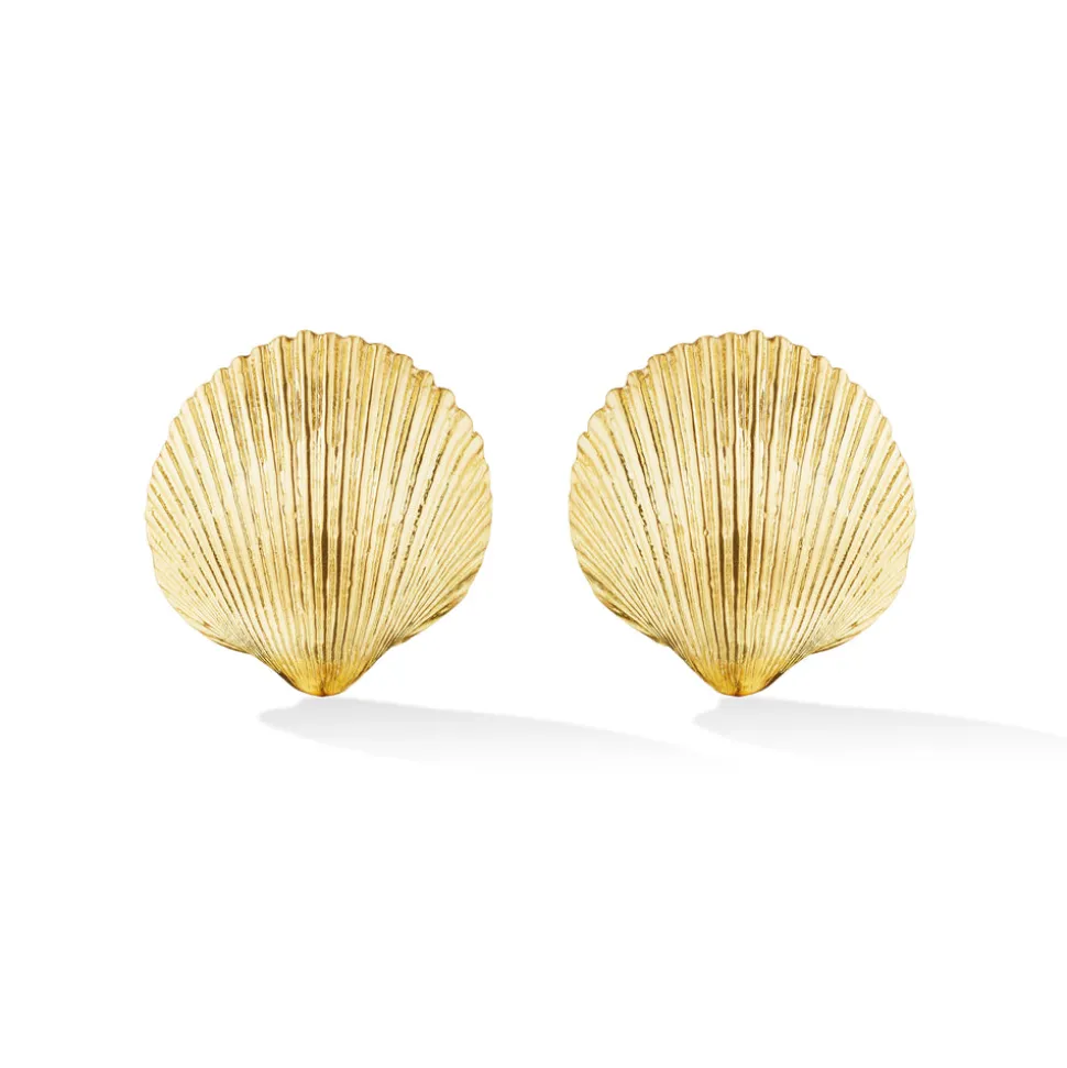 Small Gold Shell Studs